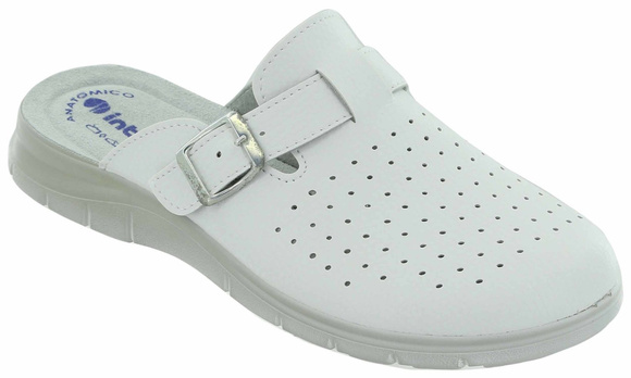 Pánské hygienické žabky