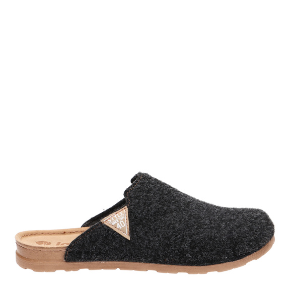 Pánské profylaktické pantofle Felt